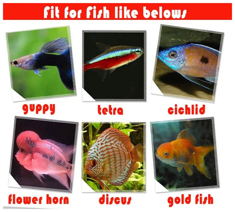 suitable for lots of species suitable for lots of species